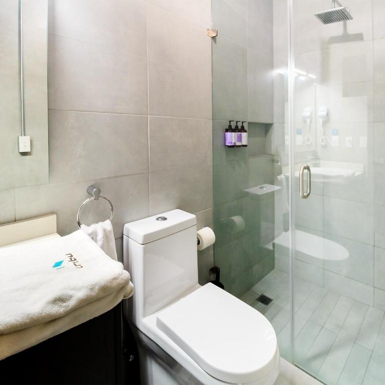 Tribu San Martin Chapultepec - One-Bedroom Apartment - 8