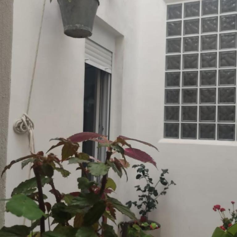 Andalucia 51 - Apartamento de 1 dormitorio - 20