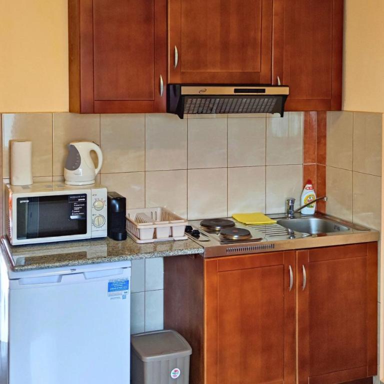 Rosic Apartments Tivat - Studio (2-4 Odrasle Osobe) - 11