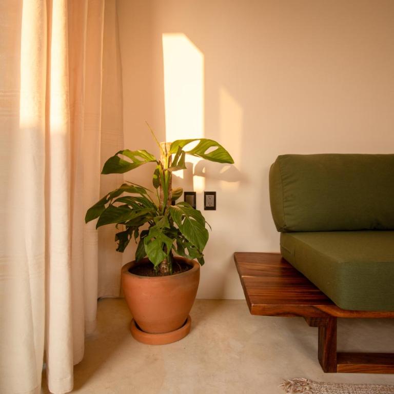 CASA RAFFAELLA Modern apartments with AC Pool Starlink - Apartamento de 1 dormitorio - 1