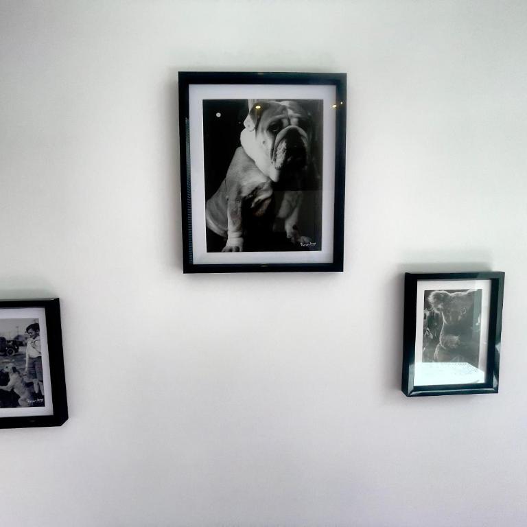 Ruby- Quai St Laurent- Bastille - Appartement 1 Chambre - 7