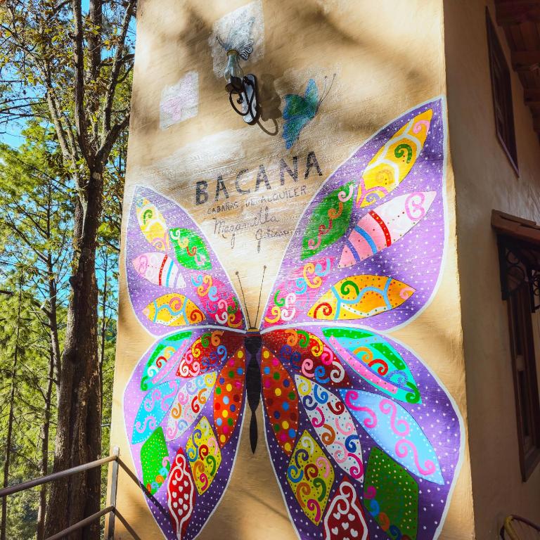 BACANA CABAÑAS DE ALQUILER - Villa de 1 dormitorio - 24