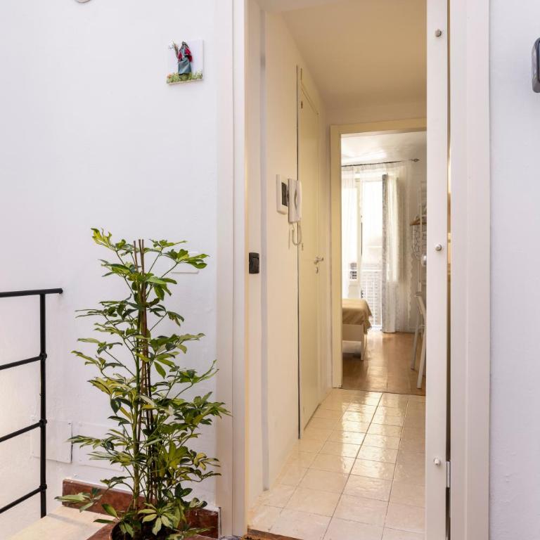 Agata & Rosalia 2 Suite Indipendenti e Comunicanti con Balcone & AC - Appartamento con 2 Camere da Letto - 11