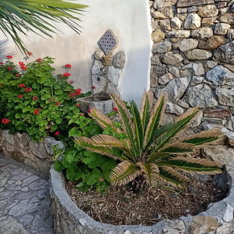 Villa Barone - Villa con 3 Camere da Letto - 29