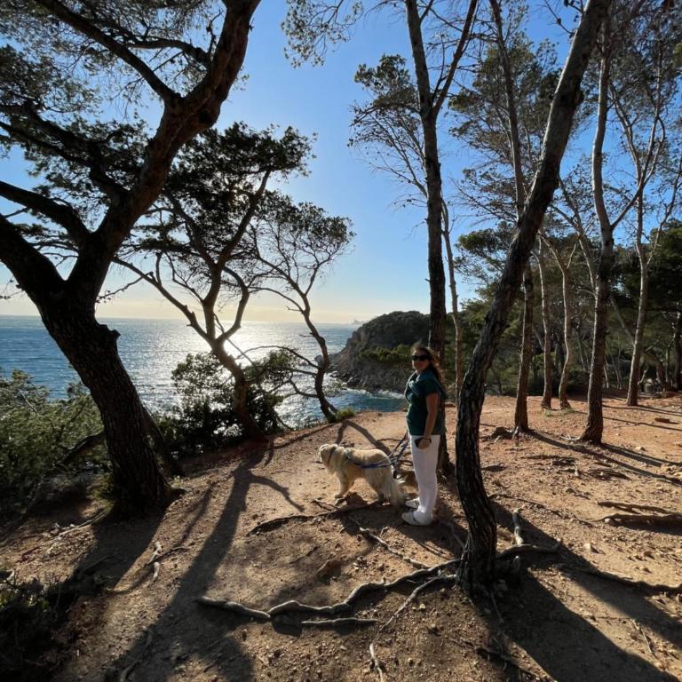 VUE EPOUSTOUFLANTE SUR BANDOL & LA MER 2 pièces, piscine tout confort 4 étoiles, très calme, terrasse spacieuse sans vis à vis, parking privé résidence standing - Apartamento de 1 dormitorio - 29