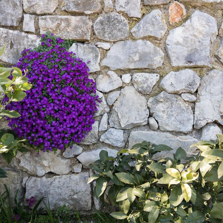 Melograno - Appartamento con 1 Camera da Letto e Vista Lago - 38