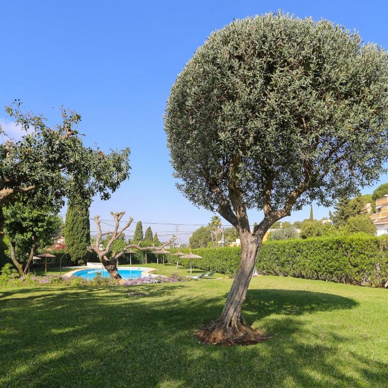 Retiro Sol - Apartamento Montesol B22 - One-Bedroom Apartment - 23