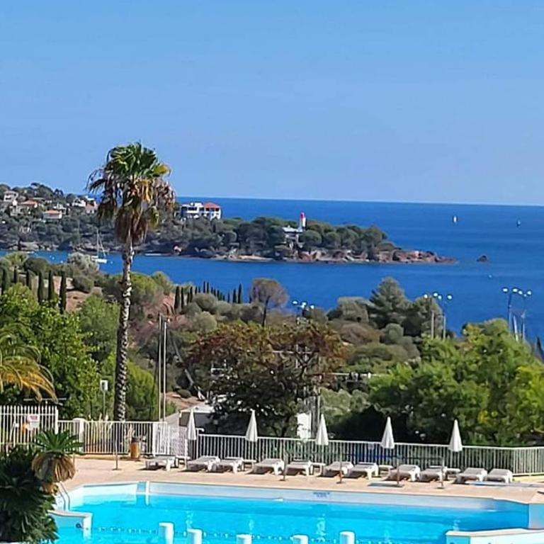 Vacances en paradis - Appartement 1 Chambre - 69