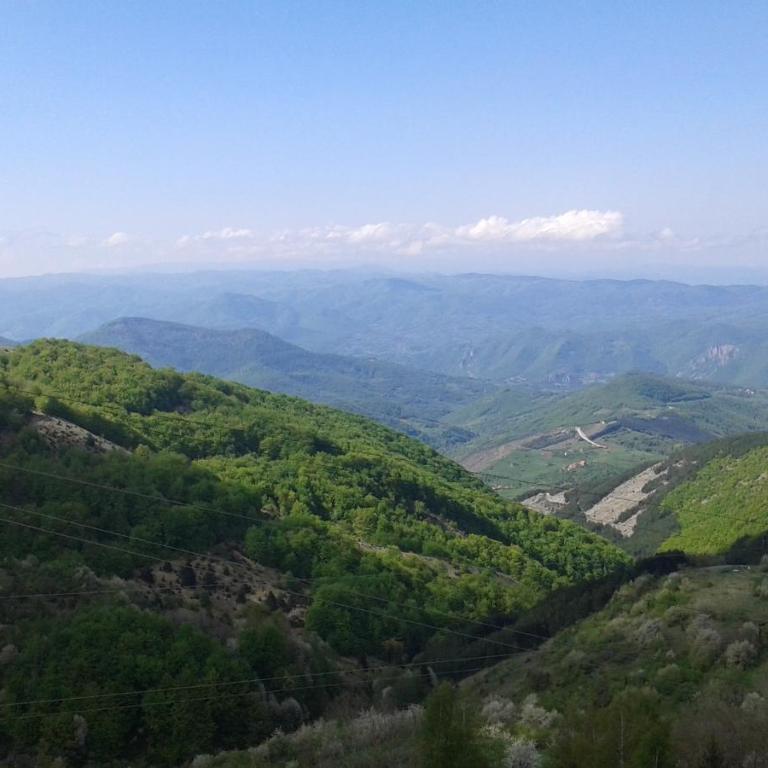 Milmari - Breakfast and pool - Double Room - 2