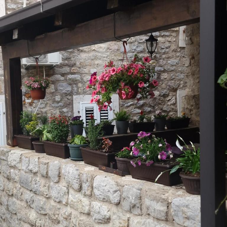 Rooms Dana Old Town Budva - Dvokrevetna Soba sa Bračnim Krevetom - 13