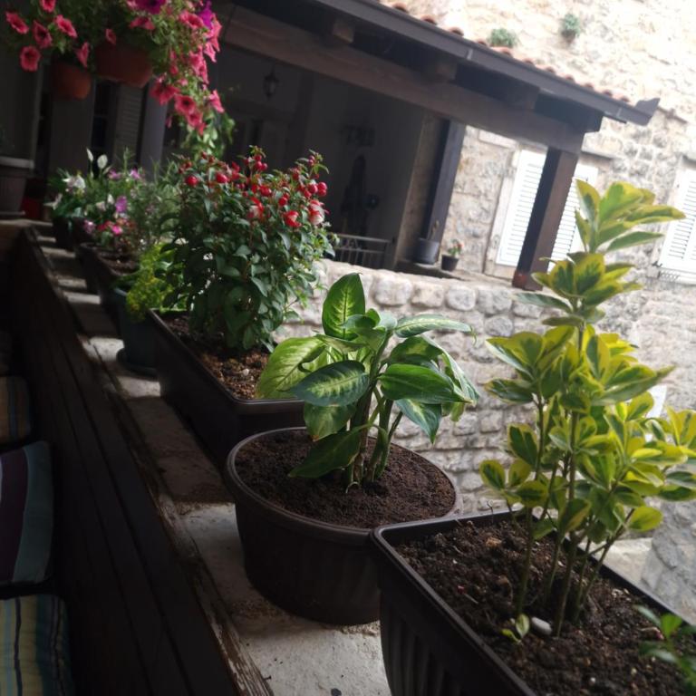 Rooms Dana Old Town Budva - Dvokrevetna Soba sa Bračnim Krevetom - 15