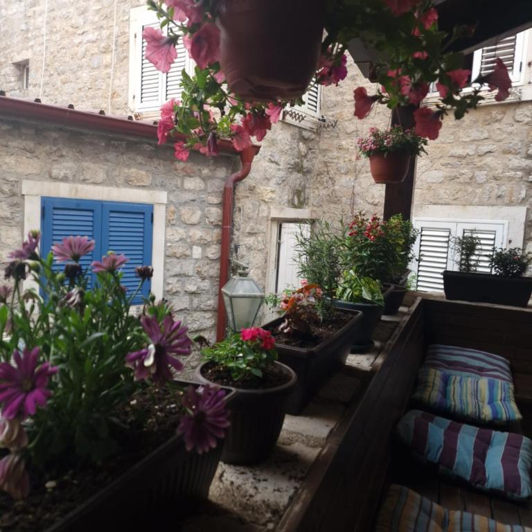 Rooms Dana Old Town Budva - Dvokrevetna Soba sa Bračnim Krevetom - 14