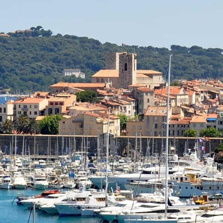 Vue exceptionnelle - Ma terrasse sur le front de mer et - Studio 34 m2 - Antibes Juan-les-pins - Appartement 1 Chambre - 16