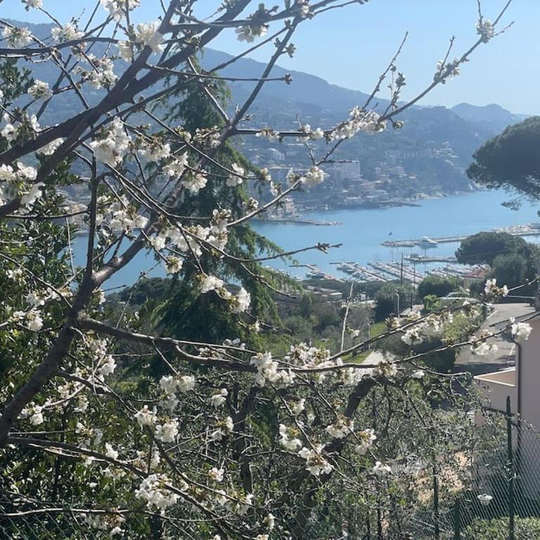 Casa Carmen Rapallo CITRA 010046-LT-2165 - Appartamento con 2 Camere da Letto - 17