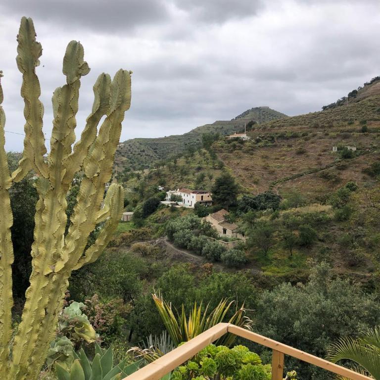 Cortijo el Abejaruco - Casa de 2 dormitorios - 13