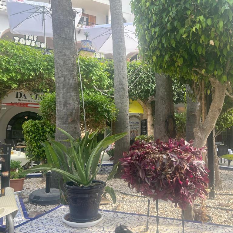 Residencial Mirasal Apartament - Apartamento de 2 dormitorios - 22