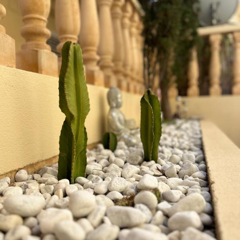 Apartamento dúplex 6 personas en zona tranquila CALPE - Two-Bedroom Apartment - 35