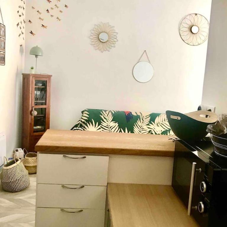 CHeZ FANNY - Ravissant 2 pièces avec balcon - Appartamento con 1 Camera da Letto - 17
