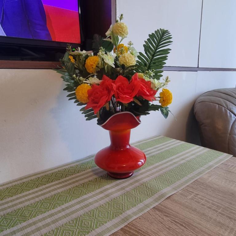 Apartment Dorcol Belgrade - Studio Apartman - 9