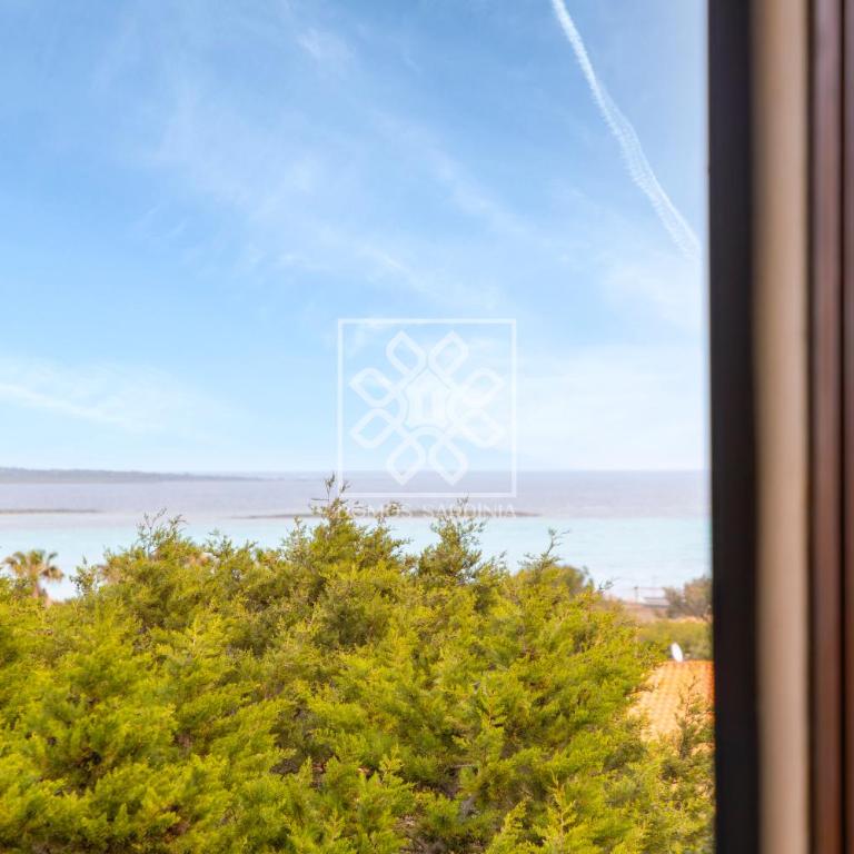 Casa Maria Grazia - Appartamento con 1 Camera da Letto - 22