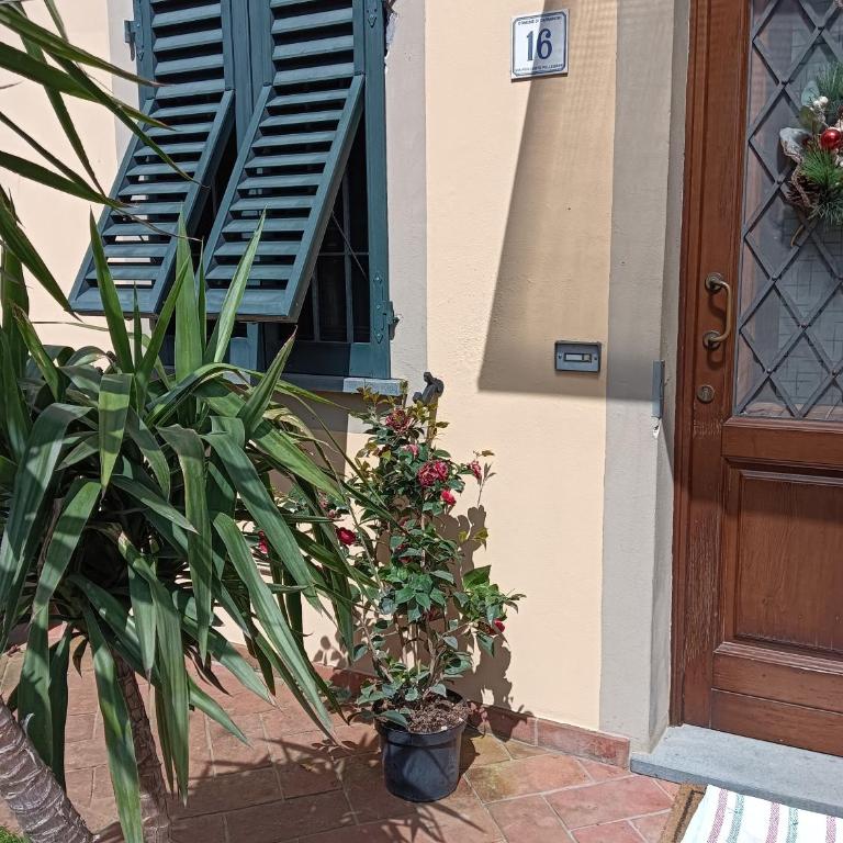 Casa Vacanze Rustico Di Corte - Appartamento - Piano Terra - 27