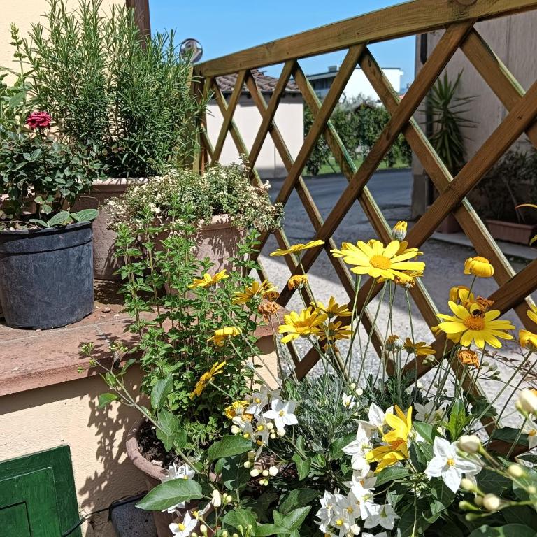 Casa Vacanze Rustico Di Corte - Appartamento - Piano Terra - 31