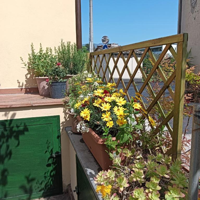 Casa Vacanze Rustico Di Corte - Appartamento - Piano Terra - 30