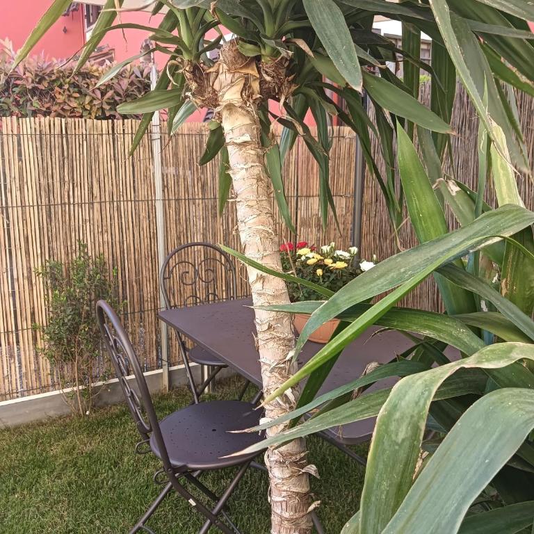 Casa Vacanze Rustico Di Corte - Appartamento - Piano Terra - 32
