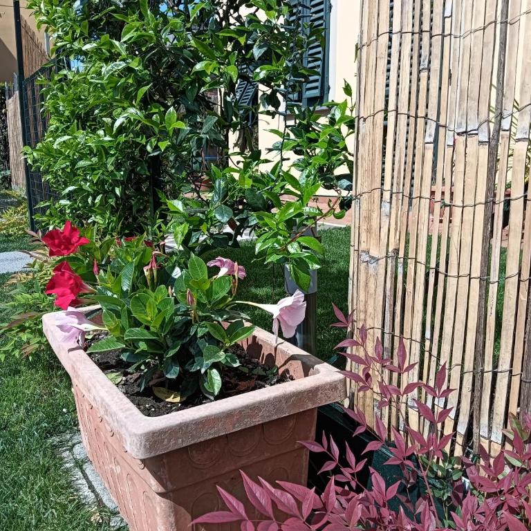 Casa Vacanze Rustico Di Corte - Appartamento - Piano Terra - 37