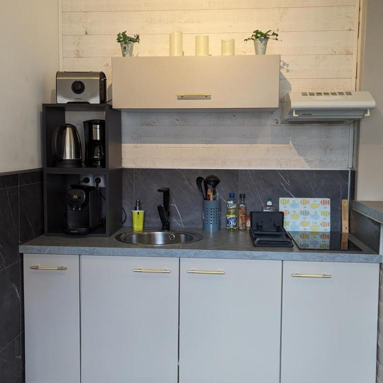Opale Baie - Studio with Terrace - 11