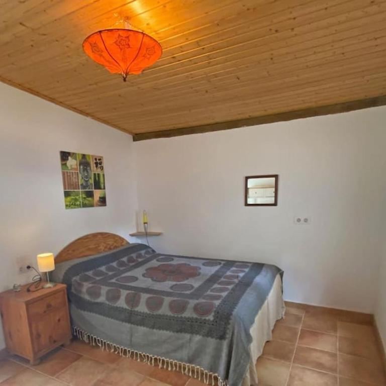 Perro Andaluz Cottage with flower garden in Zahora - Casa de 3 dormitorios - 18