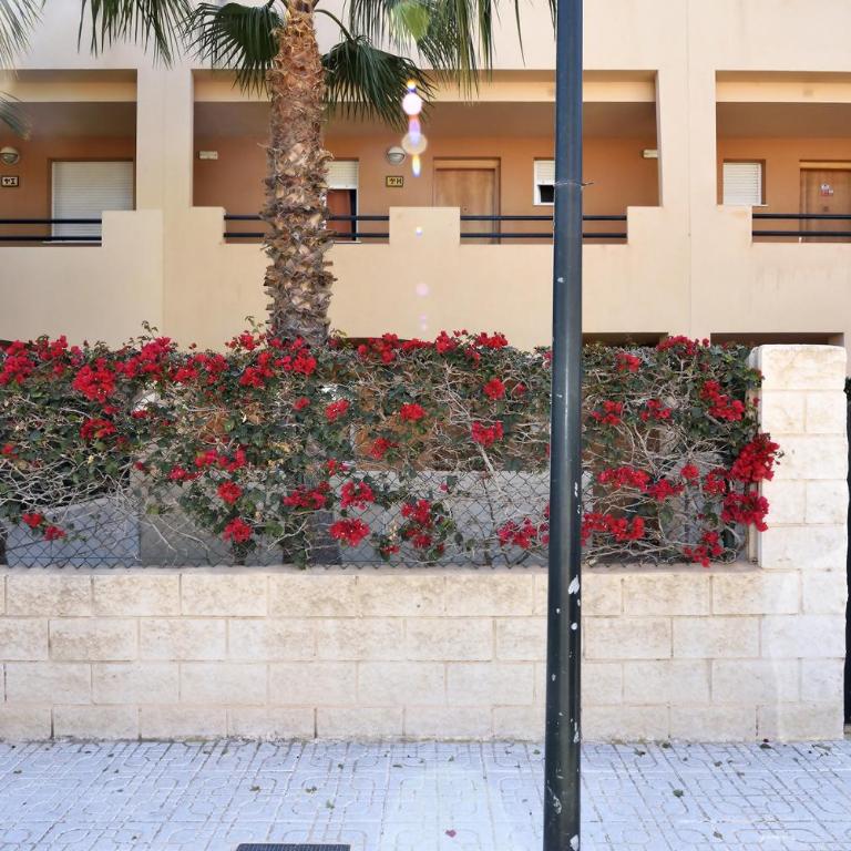 Vera Playa Bajo 2 Terrazas Jardín Piscina Parking - Apartamento con vistas a la piscina - 2
