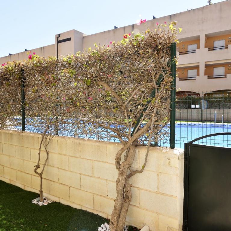 Vera Playa Bajo 2 Terrazas Jardín Piscina Parking - Apartamento con vistas a la piscina - 25