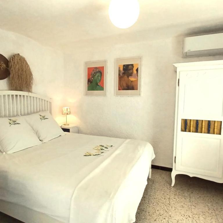 La cigale - Studio Supérieur - 12
