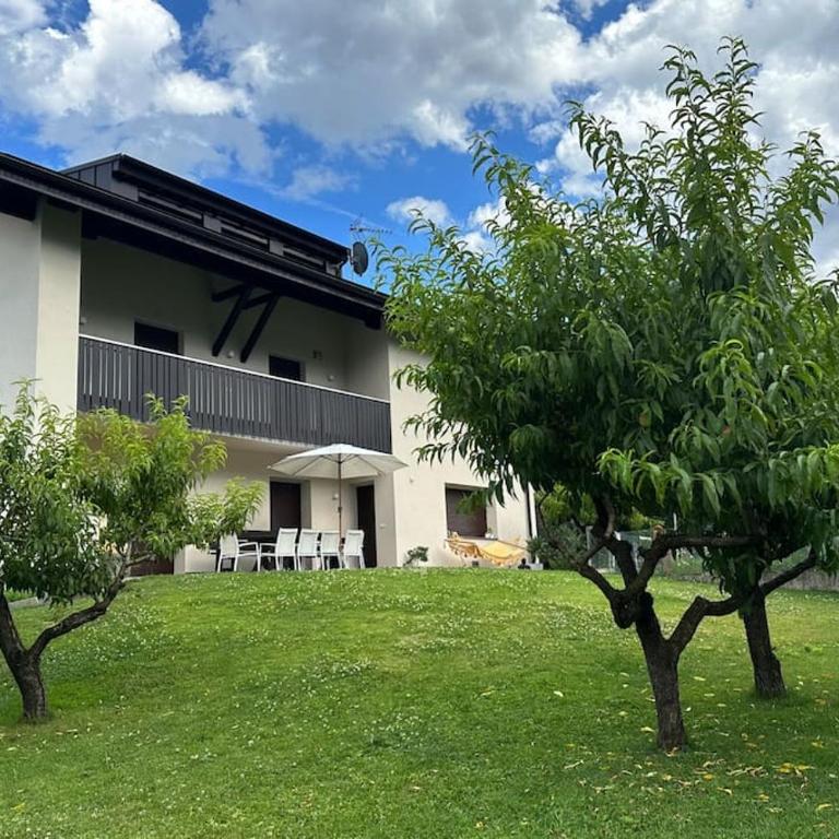 Haus Hafner Sonniges Apartment - Two-Bedroom Apartment - 1