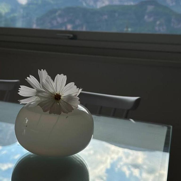 Haus Hafner Sonniges Apartment - Two-Bedroom Apartment - 15