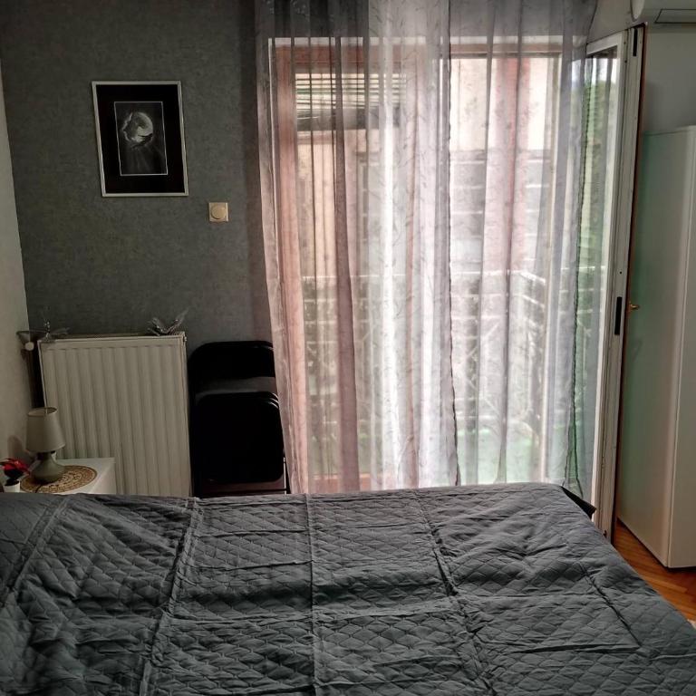 Apartman JELENA M Vrnjačka Banja - Studio Apartman - 3