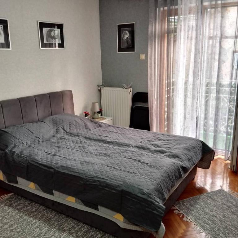 Apartman JELENA M Vrnjačka Banja - Studio Apartman - 1