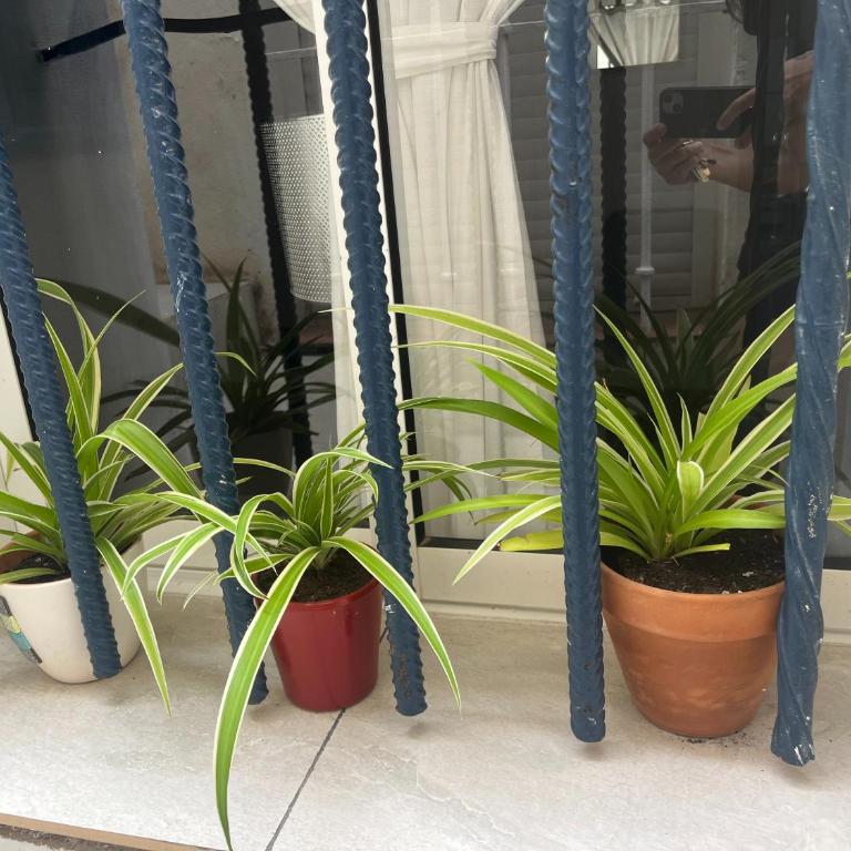 Casa Deniz - Apartamento de 3 dormitorios - 20