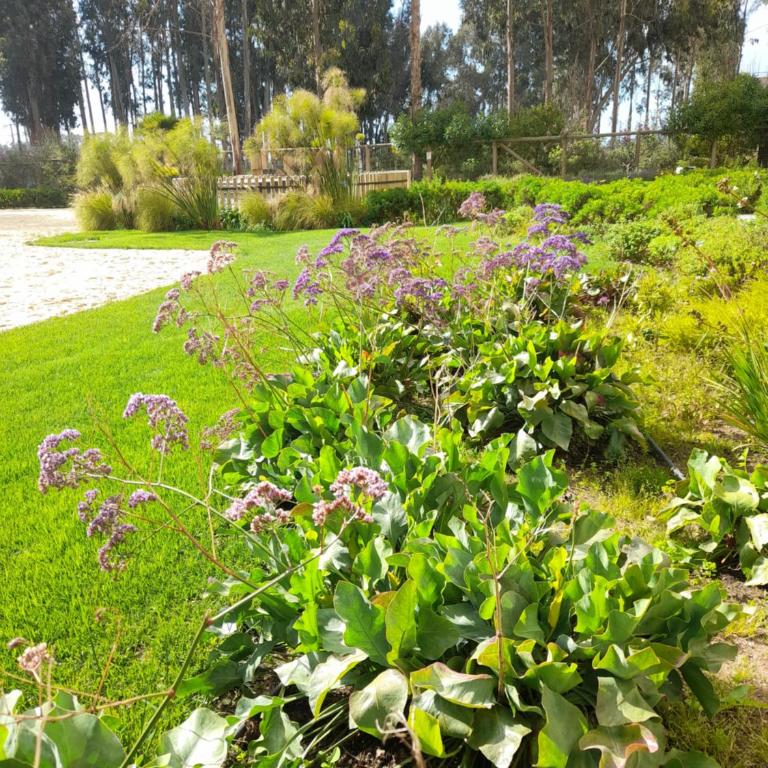 Hermoso departamento Algarrobo, cerca playa Mirasol - Apartamento Superior de 2 dormitorios - 11
