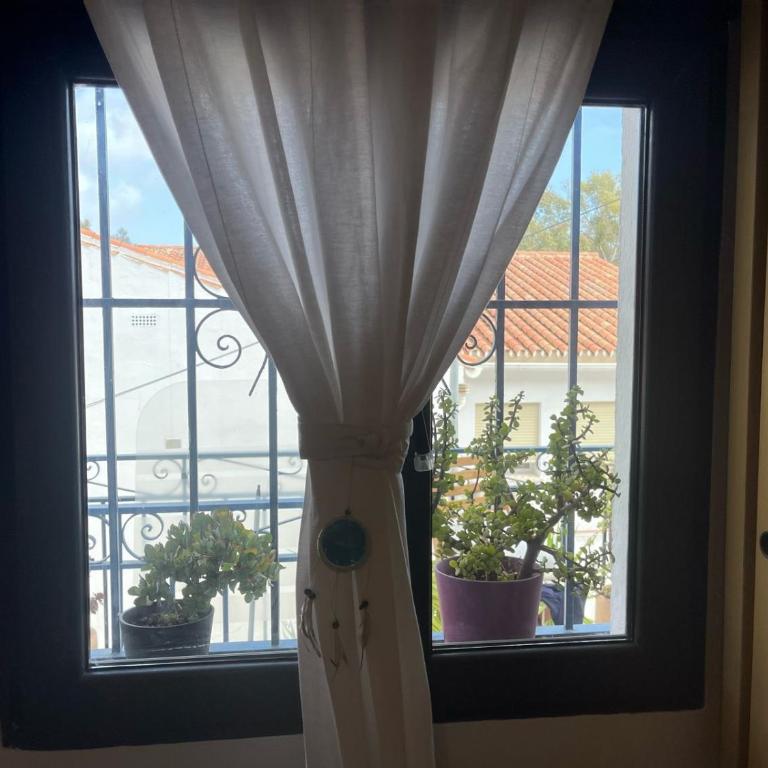 Casa Deniz - Apartamento de 3 dormitorios - 28
