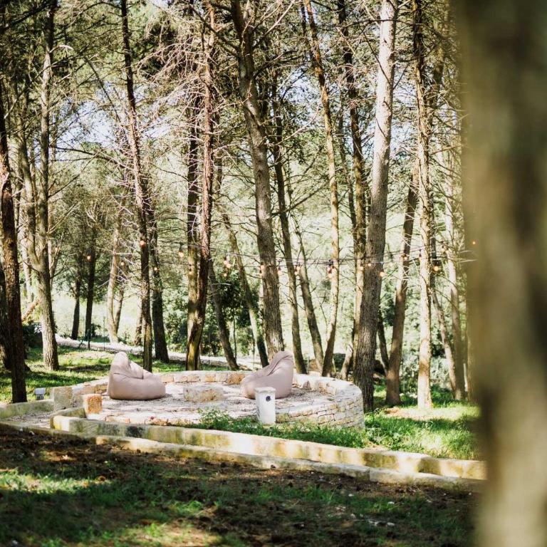Trulli Pinacea - Villa con 2 Camere da Letto - 10