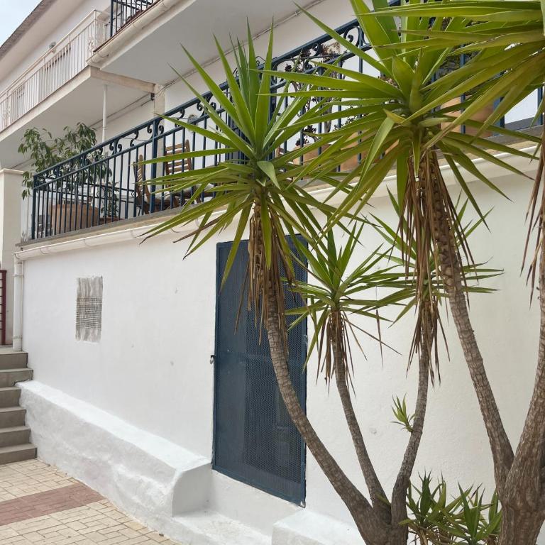 Casa Deniz - Apartamento de 3 dormitorios - 29
