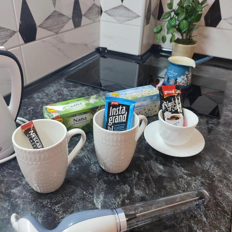 Apartman PINA Vrnjacka Banja - Apartman sa 1 Spavaćom Sobom - 15