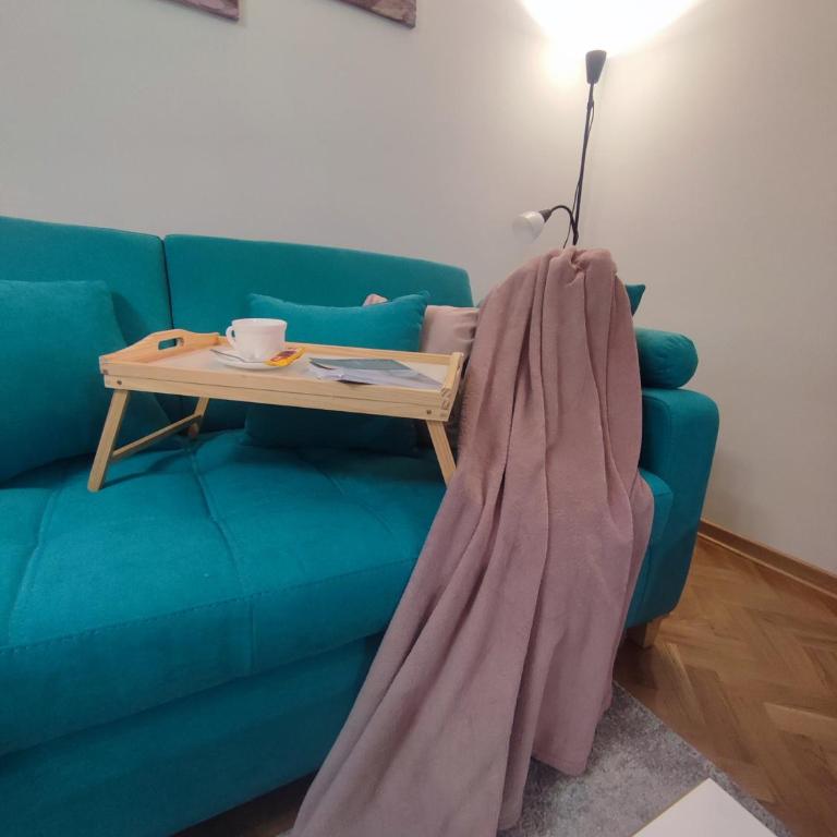 Apartman PINA Vrnjacka Banja - Apartman sa 1 Spavaćom Sobom - 23