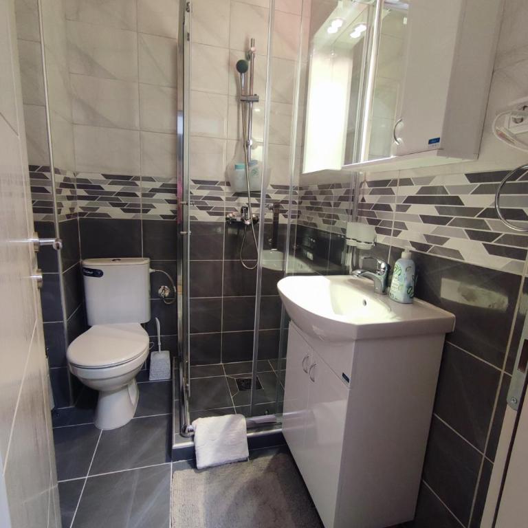 Apartman PINA Vrnjacka Banja - Apartman sa 1 Spavaćom Sobom - 17