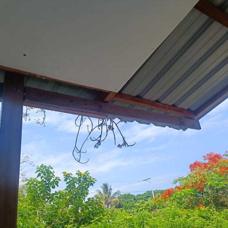 Galapagos Verde Azul - Habitación Doble Grande - 6