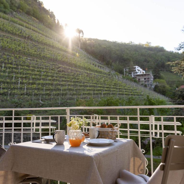 Ladurnerhof Boutique Apartments Meran - Studio Apartment with Balcony - 4