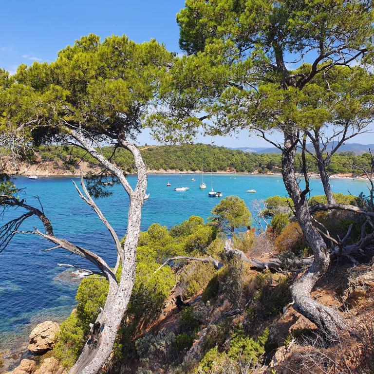 Chalet Melrose - Camping Parc Valrose - Mobile Home - 34