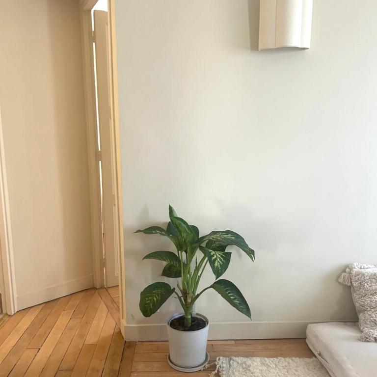 Boheme Chic house - Appartement 1 Chambre - 3